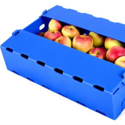 Blaue Frucht Coroplast Apple, die Kasten-Polypropylen-feuchtigkeitsbeständiges verpackt