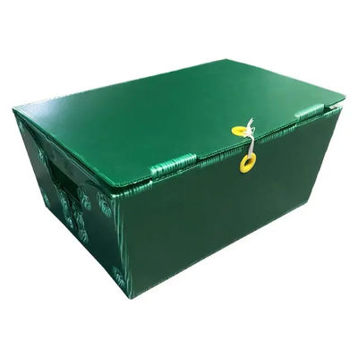 Polypropylen-Postpost-Tote Corrugated Plastic Boxes Bins-steifes besonders angefertigt mit Griffen