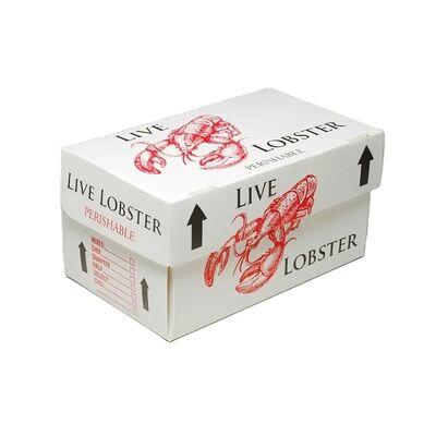 Corrugated Plastic Box is made from durable polypropylene (PP) corrugated sheet. It is lightweight, waterproof, reusable, impact-resistant, and ideal for packaging and storage