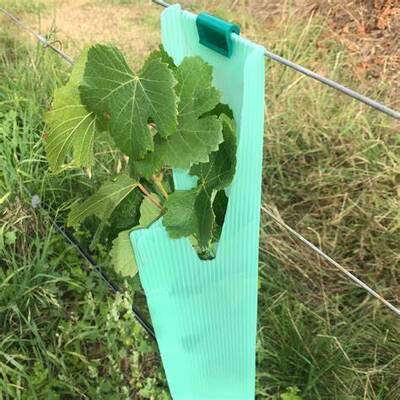 PP Tree Guard ist leichtgewichtig, langlebig, wasserdicht und einfach zu installieren.