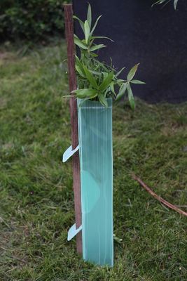 Pp. runzelten Plastikbaum-Schutz-Corflute Sustainable Tree-Schutz