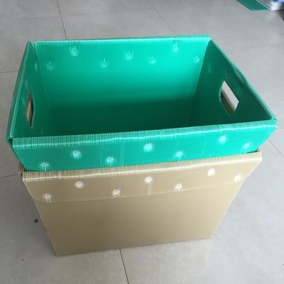 4.5mm runzelten 5.5mm gewölbte verpackender Kasten-Plastikfische pp. Behälter