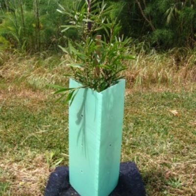 Quadratisches Dreieck gewellter Corflute-Baum-Schutz Vine Protector