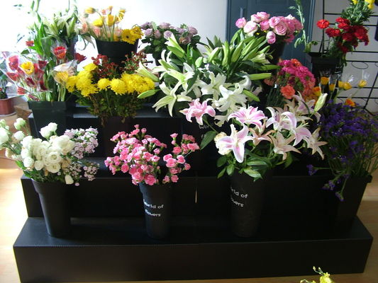 Steifes Coroplast-Blumen-Ausstellungsstand-künstliche BlumeAusstellungsstand wasserdicht