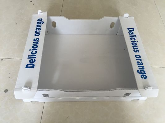 Gewölbte Kästen des Polypropylen-5mm für das Frucht-Verpacken wasserdicht