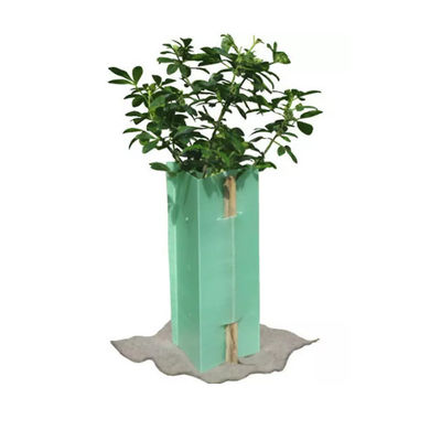 Plastikbaum-Schutze Dreieck Corflute-Baum-Schutz Bunnings 5mm Coroplast