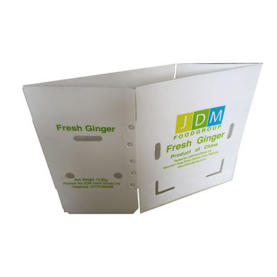 Kundenspezifisches Coroplast packt 3mm 5mm Eco freundlichen gewölbten Plastikpost-Totalisator ein
