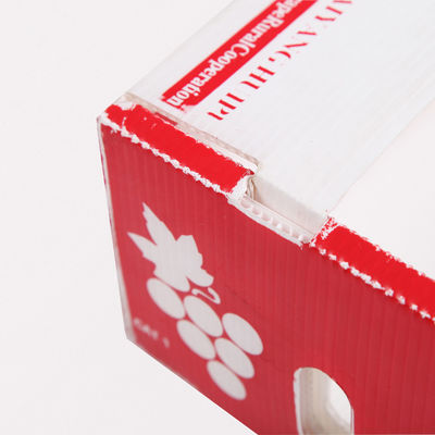 Frischware-Pappschachteln Coroplast Kiwi Fruit Packing Box Corflute