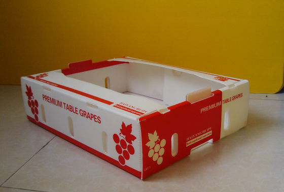 Frischware-Pappschachteln Coroplast Kiwi Fruit Packing Box Corflute