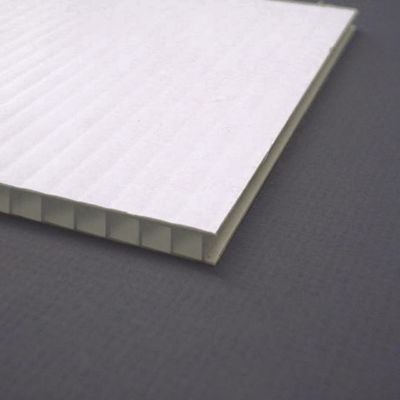 Doppelwand klarer transparenter Coroplast Plastikhohles Brett Coroplast 4x8