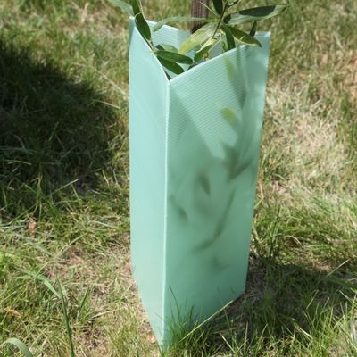 Dreieck runzelte Plastikbetriebsschutz des baum-Schutz-2mm Corflute