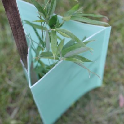 2mm Corflute gewölbtes Baum-Schutz-Dreieck-Plastikbaum-Stamm-Schutze