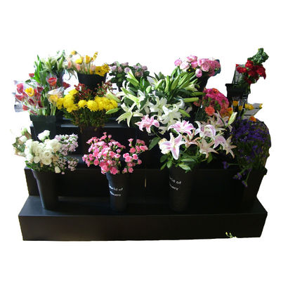 Stärke pp.-Polypropylen-Blumen-Ausstellungsstand-Schwarzes Corflute 8mm