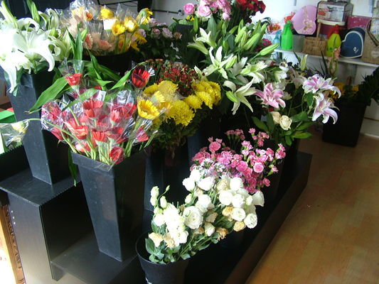 10mm Corflute Hochzeits-Blumen-Ausstellungsstand-Chemikalie beständig