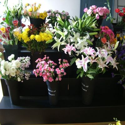 Reihen des Rechteck Coroplast-Blumenladen-Ausstellungsstand-3 verwittern beständiges