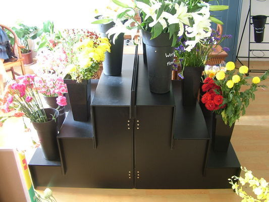 Gewölbter Plastikblumenschritt des ausstellungsstand-3 des Schritt-4 für Blumenladen