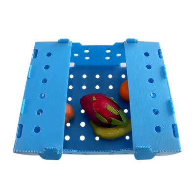 Polypropylen-Frucht-Verpackenkasten-Grün Coroplast-Pfirsich-Verpackungs-Kästen