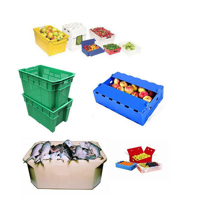 Polypropylen-Frucht-Verpackenkasten-Grün Coroplast-Pfirsich-Verpackungs-Kästen