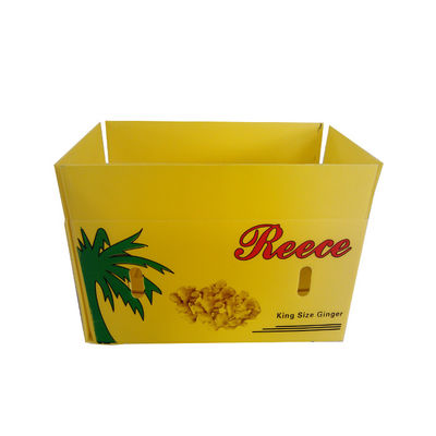 Wiederverwendbare gewölbte Plastikkästen des Spargel-Frucht-Verpackenkasten-4mm 3mm