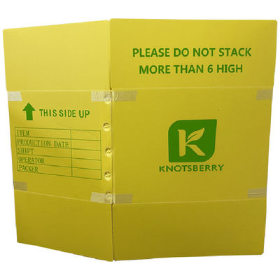 Gewölbte Kunststoffverpackungskisten für öffentliche und kommerzielle Zwecke, die Leistungsfähigkeit von Abfallentsorgungssystemen bieten