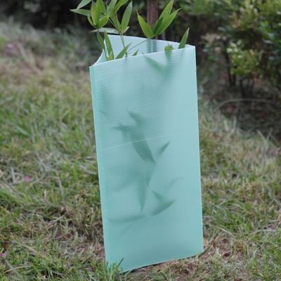 3 mm grüner Corflute-Baumschutz aus Kunststoff, UV-Schutz, wasserdicht