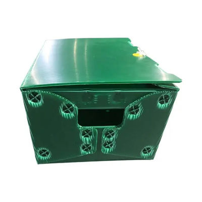 Polypropylen-Postpost-Tote Corrugated Plastic Boxes Bins-steifes besonders angefertigt mit Griffen