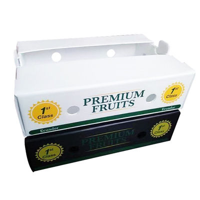 Food safe Fruit Packaging Box made from polypropylene material offering waterproof and anti impact features for fruit shipping solutions