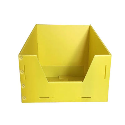 Eco-Friendly and Durable The PP Corrugated Plastic Vegetable Packaging Box