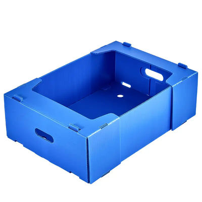 Frucht-Speicher-Transport runzelte Plastikkasten-Polypropylen-Frucht-Verpackungs-Kasten