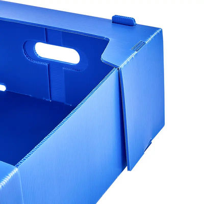 Frucht-Speicher-Transport runzelte Plastikkasten-Polypropylen-Frucht-Verpackungs-Kasten