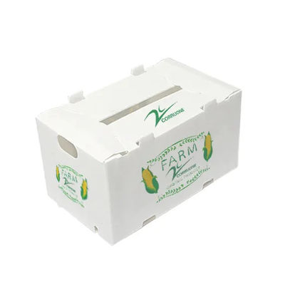 Polypropylen runzelte Plastikfrucht-Kasten-Verpackungs-Speicher-Transport