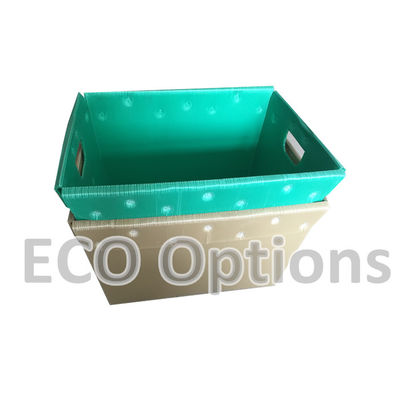 Recycling PP Wellpappe-Plastikbox Koroplast-Verpackungskiste kundenspezifisch zusammensteckbare ECO