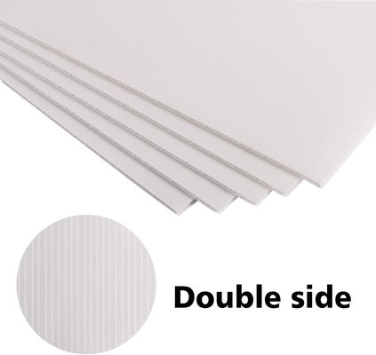 Lassen Sie das Potenzial von PP-Koroplastblech in Ihrer Verpackung und Werbung frei