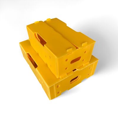 Leichtgewichtig und schlagfest, aus recycelbarem Material gefertigt, langlebig, wiederverwendbar und ideal für umweltfreundliche Verpackungslösungen.