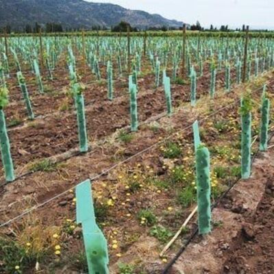 PP Tree Guard ist leichtgewichtig, langlebig, wasserdicht und einfach zu installieren.