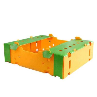 Our Fruit Packaging Box is made from durable, lightweight PP corrugated plastic, providing excellent protection for fruits during storage and transportation.